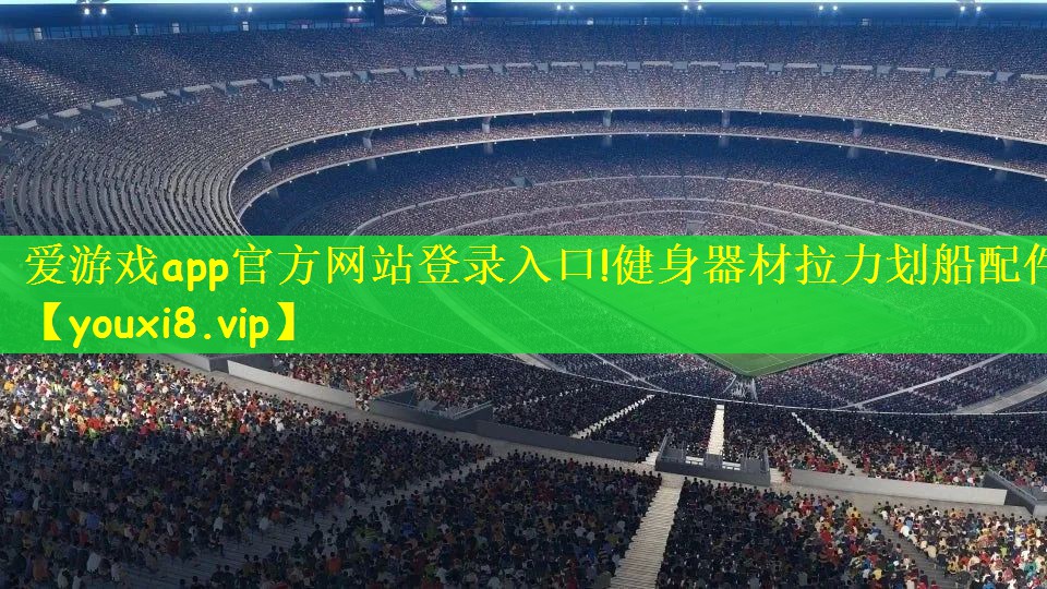 爱游戏app官方网站登录入口!健身器材拉力划船配件