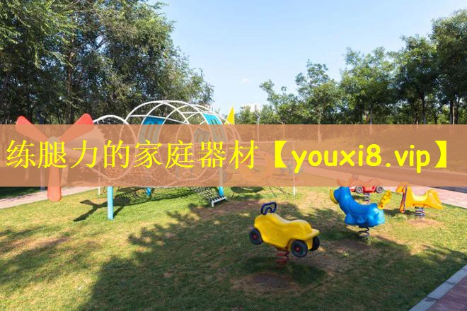 练腿力的家庭器材