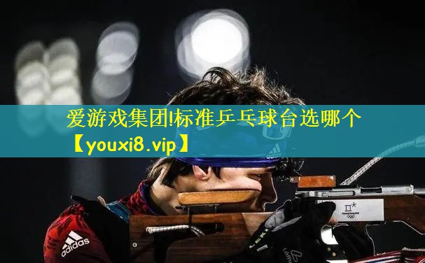 标准乒乓球台选哪个
