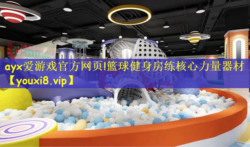 篮球健身房练核心力量器材
